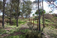 /album/fotogaleria/despues-5-jpg/